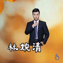 林婉清